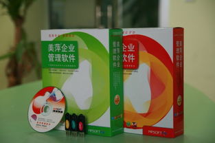 黄石餐饮管理软件 数字化转型下的餐饮业增效利器